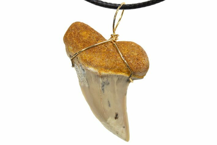 Fossil Hooked White Shark Tooth Necklace - Bakersfield, California #318867